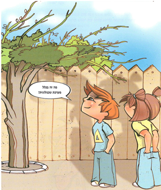 (בספר 5 תמונות, היעזר במנחה)
